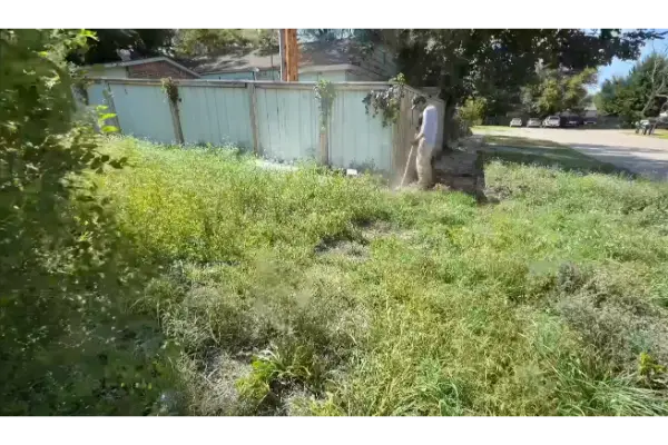 Overgrown yard photo