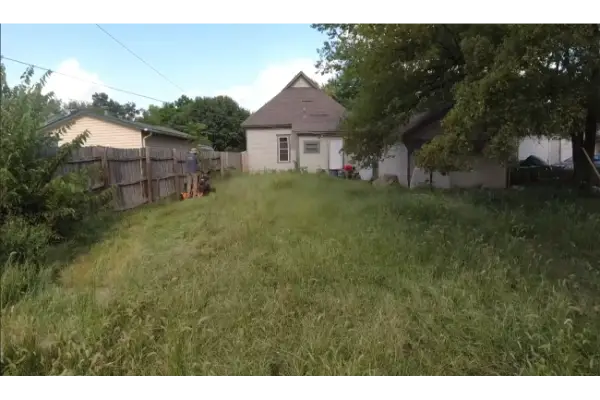 Weed overgrowth area