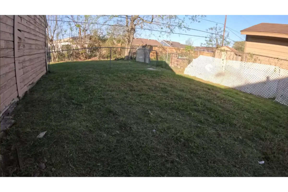 lawn after aeration and overseeding service