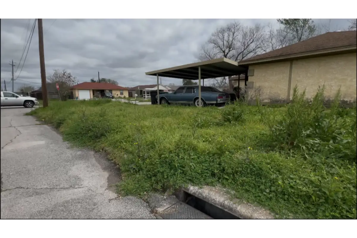 Overgrown residential lawn before lawn maintenance service in Roanoke VA