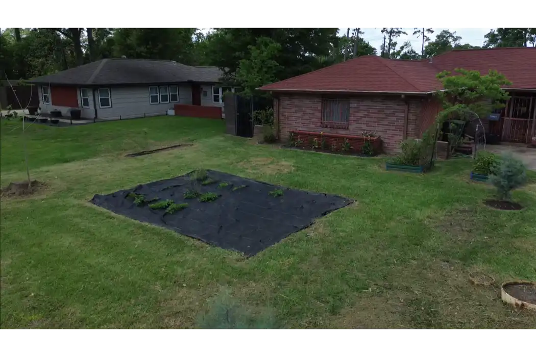 Clean landscape area after yard cleanup