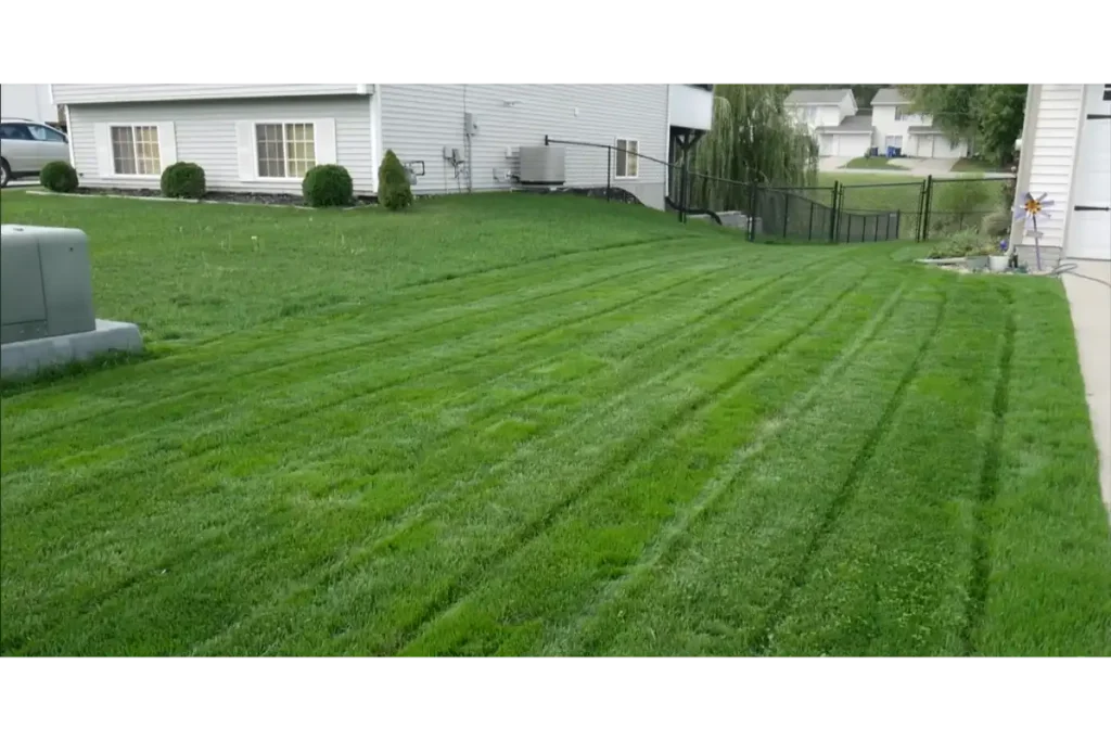 Core aeration process helping improve soil conditions in a residential lawn