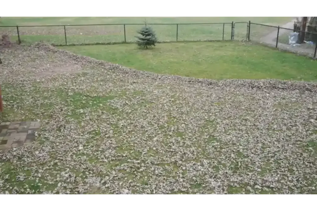 Fall yard cleanup with leaves around a residential property