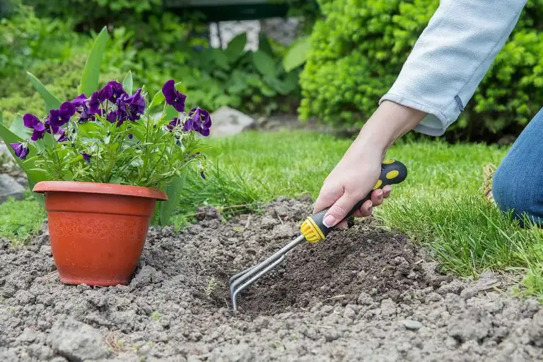 Lawn fertilization and weed control service for a residential lawn in Roanoke VA