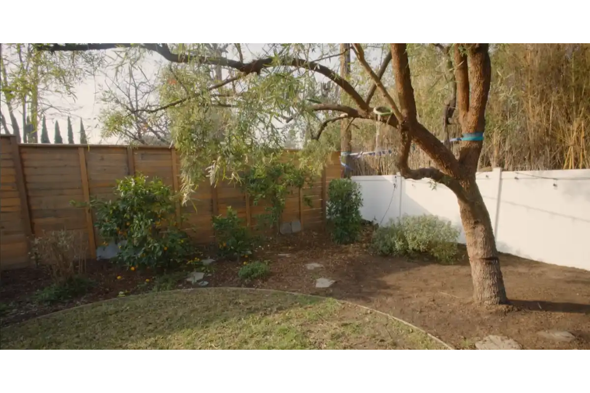 Residential landscape bed before mulch refresh and cleanup
