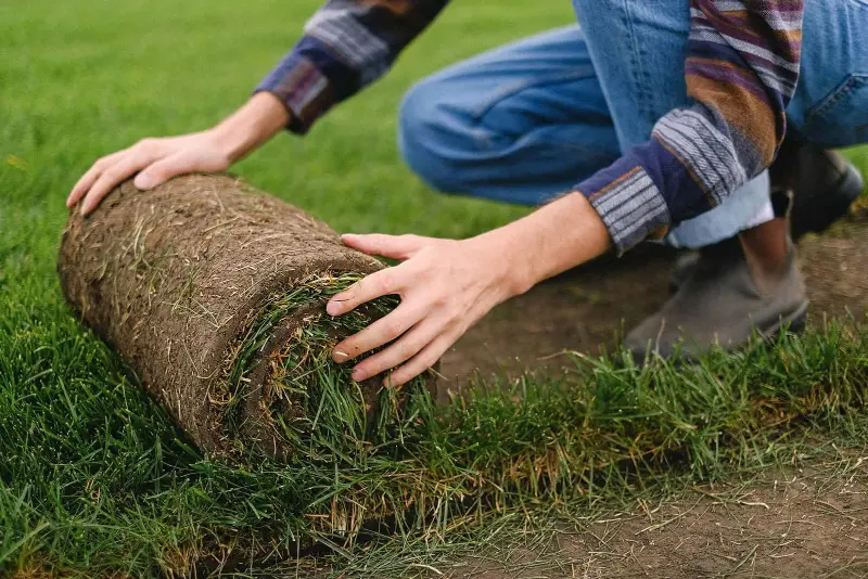Installing healthy grass lawn for a residential property in Roanoke VA