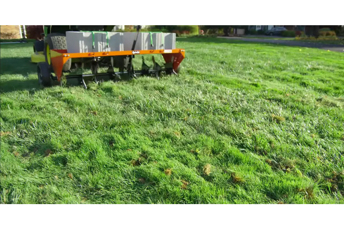 Lawn care professional applying fertilizer treatment for healthy grass