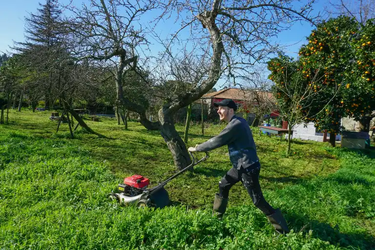 Lawn Mowing & Grass Cutting Services