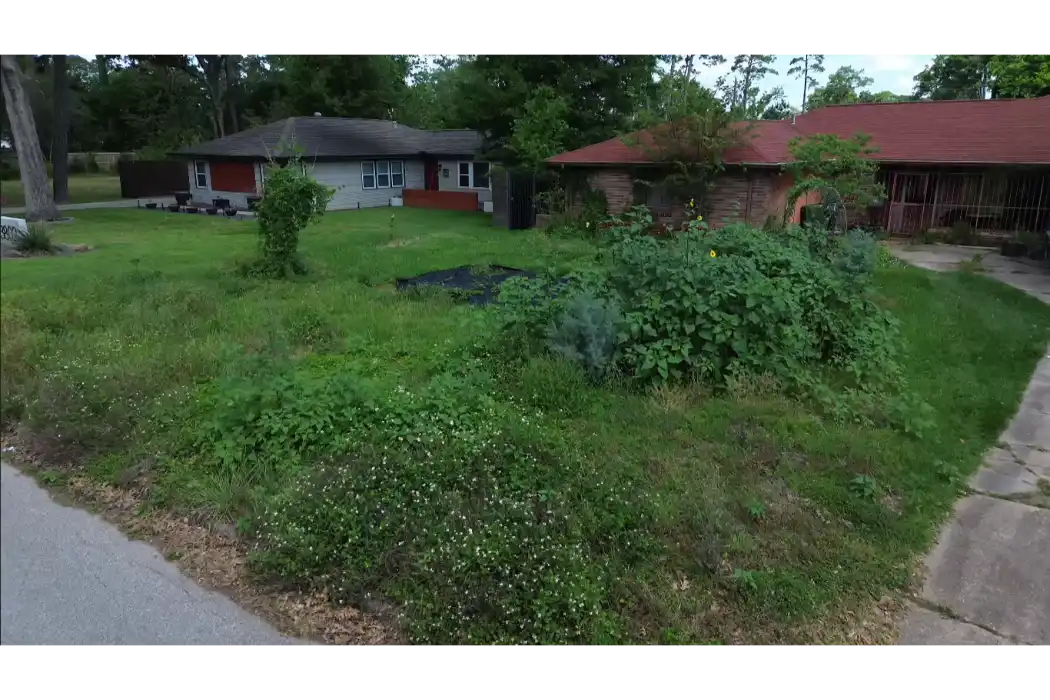 Yard with leaves and debris before cleanup