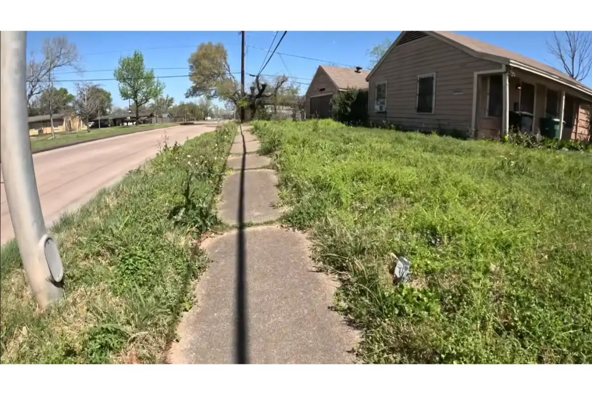 Unmaintained lawn with overgrown grass before professional lawn care in Roanoke VA