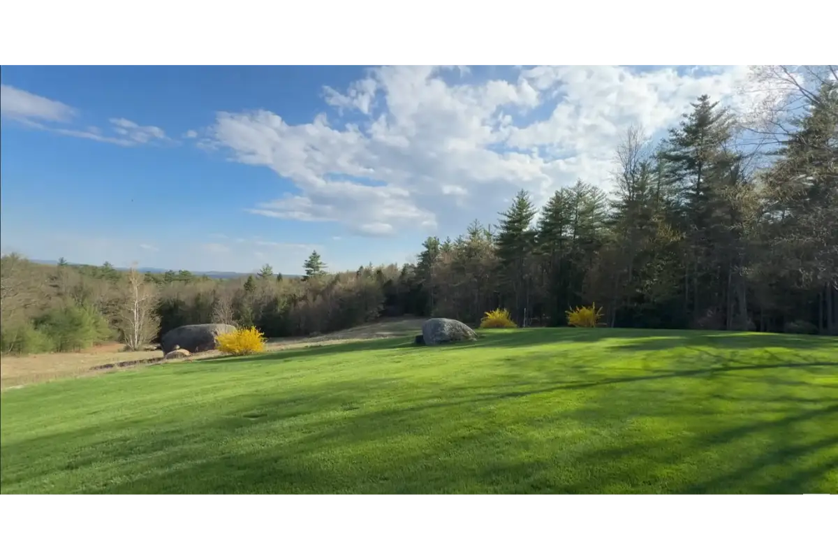 Professional lawn fertilization service improving Roanoke VA grass health