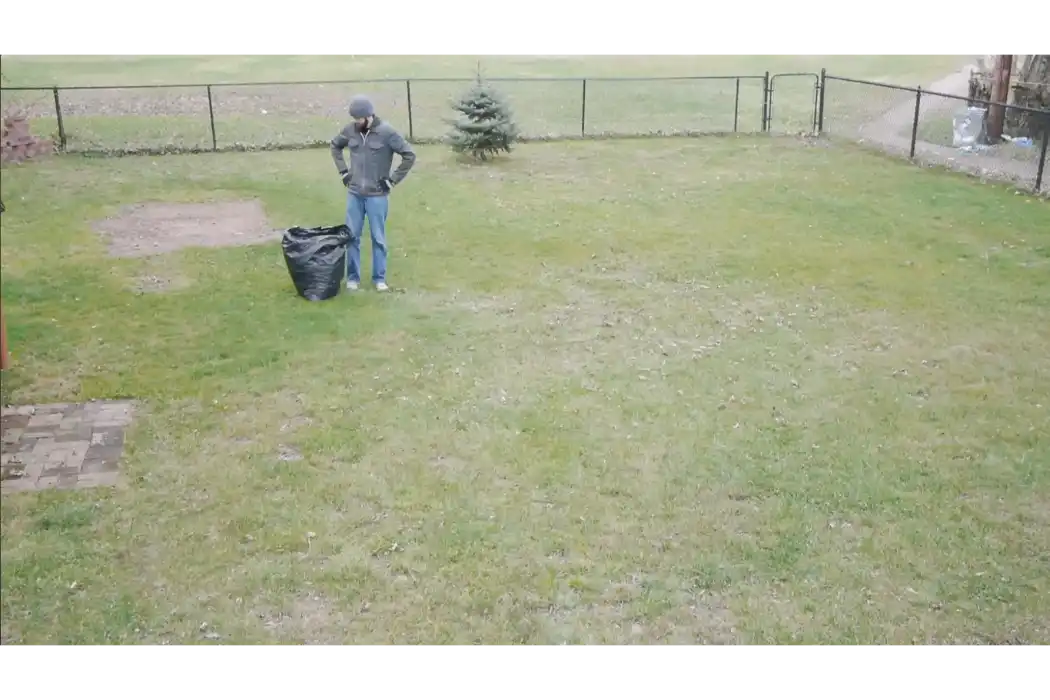 Clean yard after seasonal cleanup service