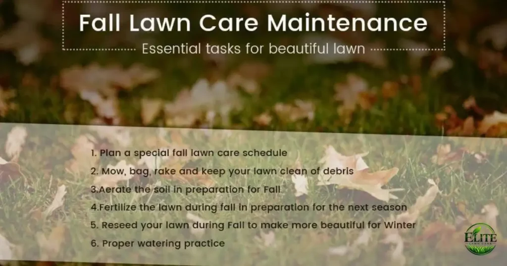 fall-lawn-maintenance-checklist-tasks-every-roanoke-homeowner-should-complete