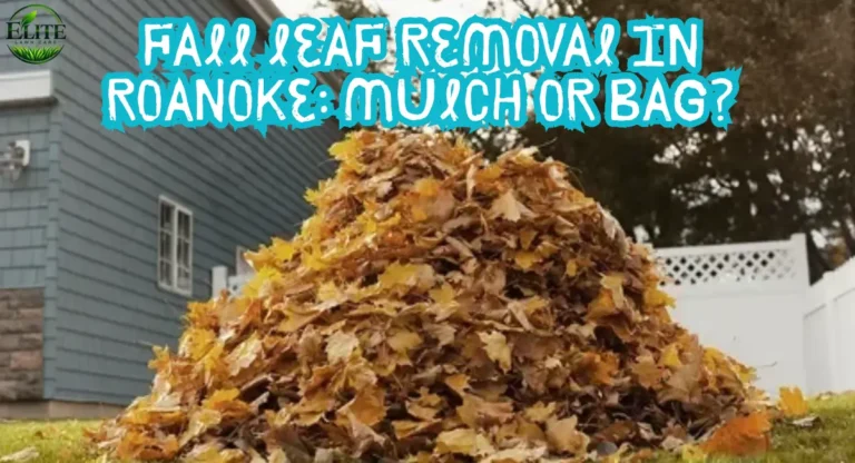 fall-leaf-removal-in-roanoke-mulch-or-bag