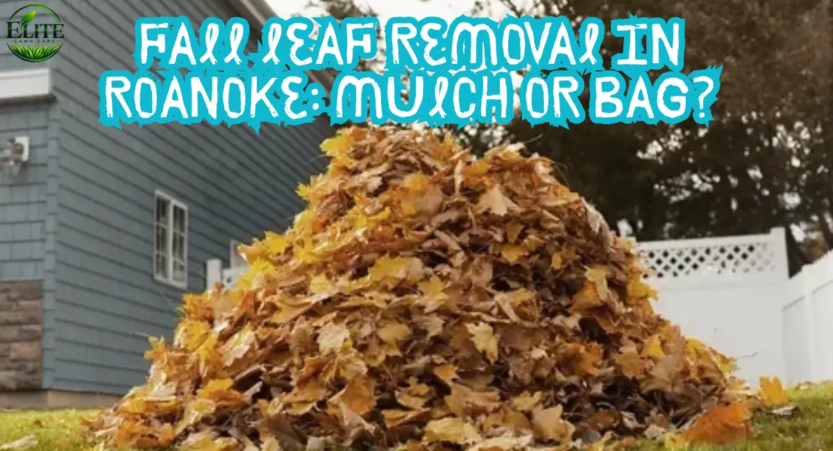 fall-leaf-removal-in-roanoke-mulch-or-bag