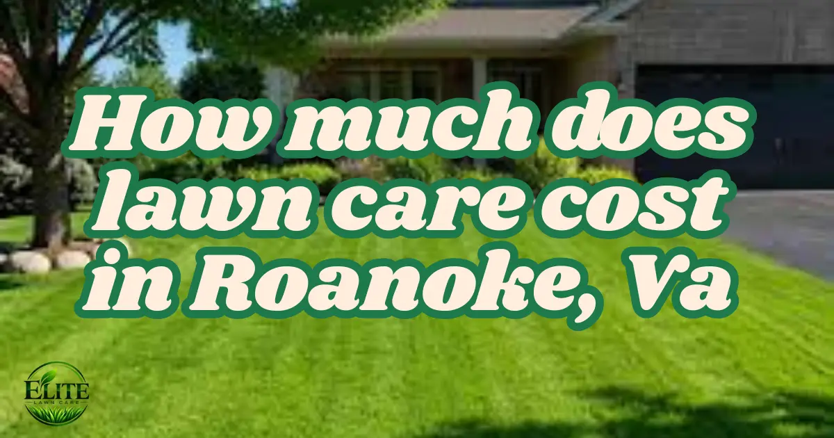 How Much Does Lawn Care Cost in Roanoke, VA