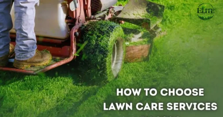 How to Choose a Lawn Care Company in Roanoke, VA