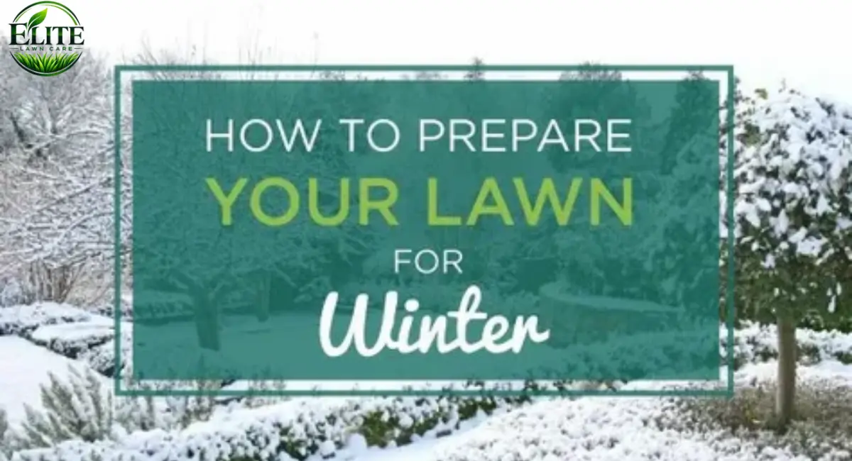 How to prepare your lawn for winter in Roanoke, VA