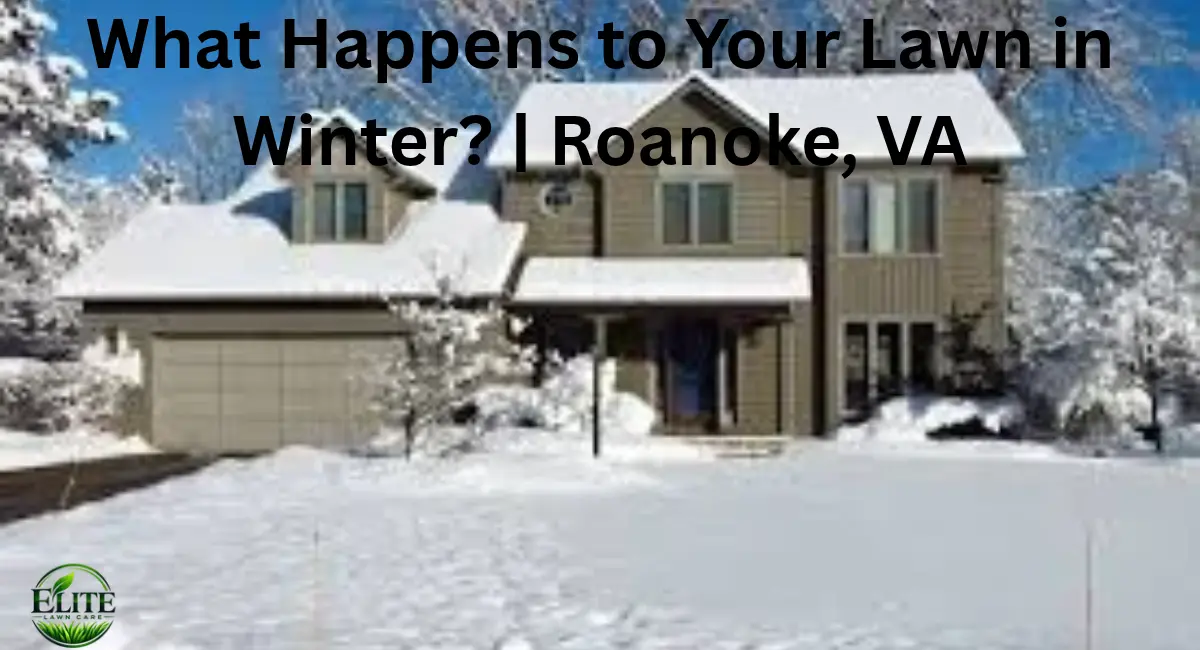 What Happens to Your Lawn in Winter? | Roanoke, VA