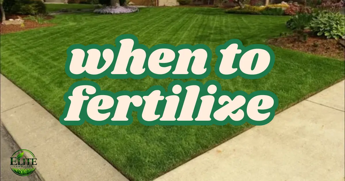 When to Fertilize a Lawn in Roanoke, VA