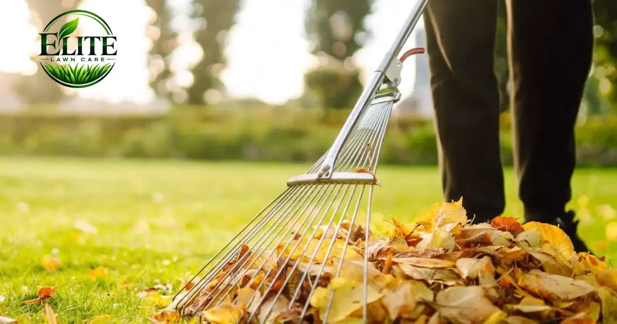 why fall lawn care is important